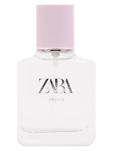 Orchid 2019 Zara
