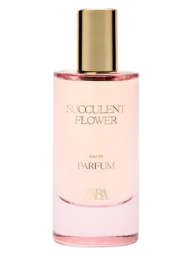 Succulent Flower Zara — аромат