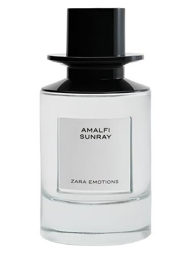Enigma Pour Homme Roja Dove — аромат