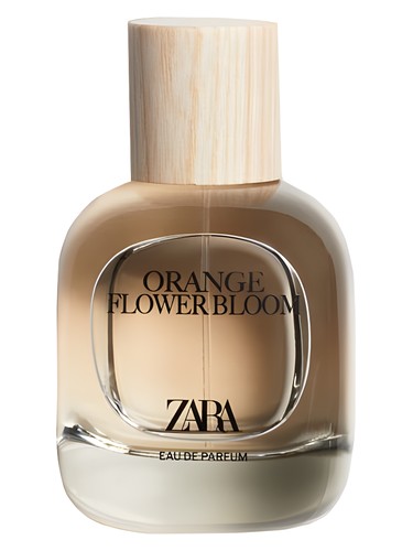 Orange Flower Bloom Zara