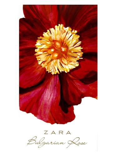 Bulgarian Rose Zara — аромат