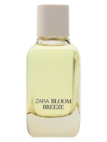 Bloom Breeze Zara — аромат