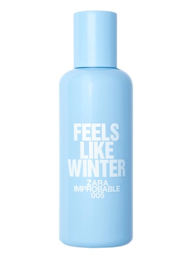 005 Feels Like Winter Zara