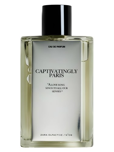 Captivatingly Paris Zara