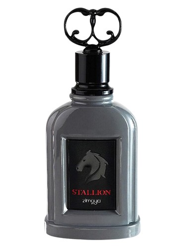 Stallion Zimaya — аромат