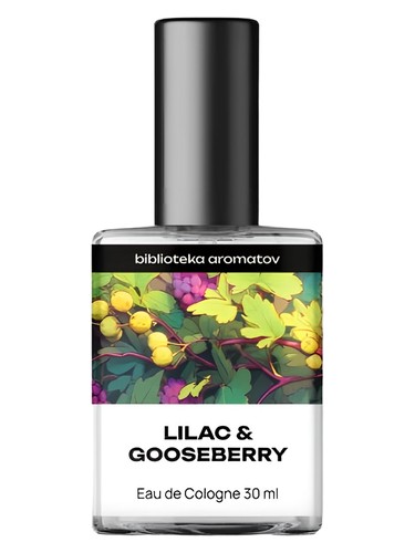 Lilac and Gooseberry biblioteka aromatov Lattafa Perfumes — аромат