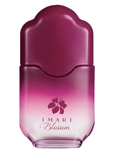 Imari Blossom Avon