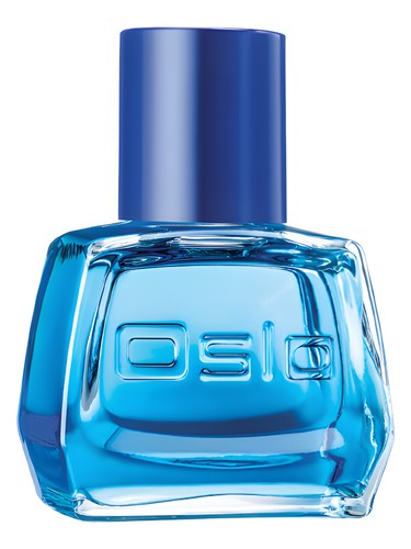 Oslo Instinct Avon — аромат