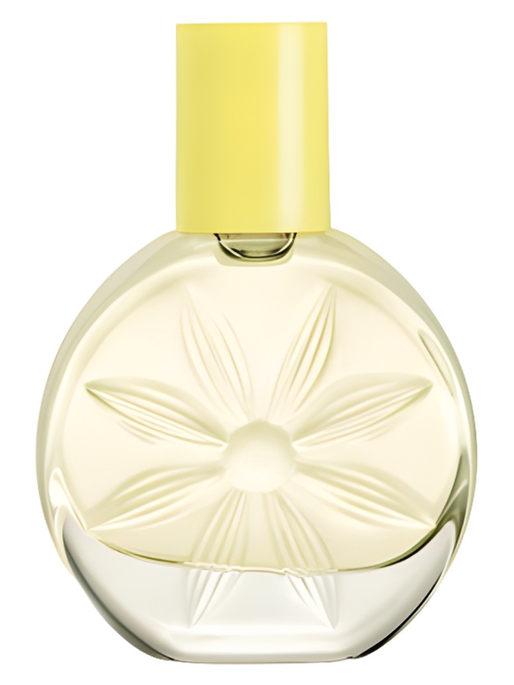 Be... Joyful Avon — аромат
