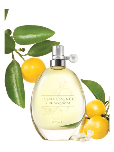 Hypnôse Hypnotizing Elixir Lancôme — аромат