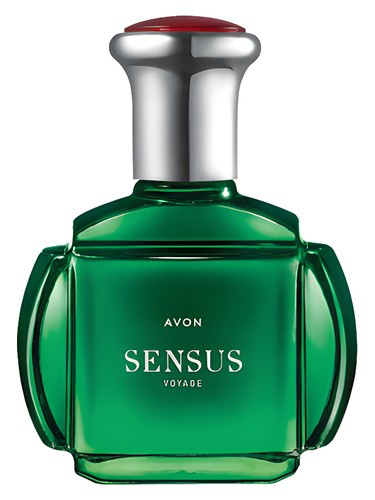Sensus Voyage Avon