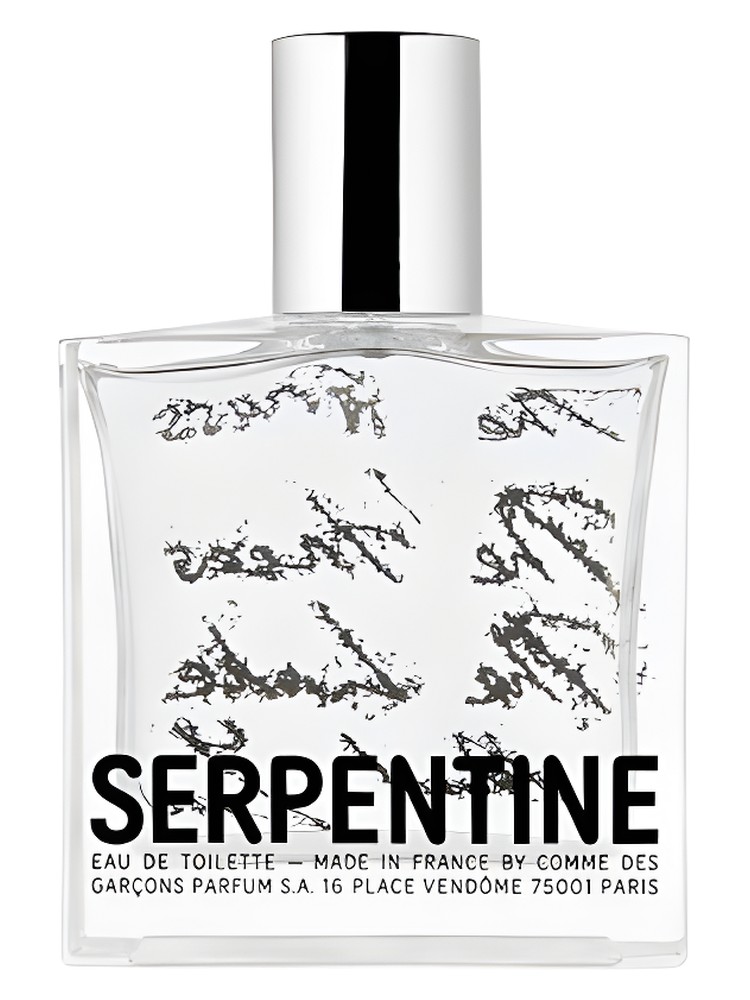 Serpentine Comme des Garcons — аромат