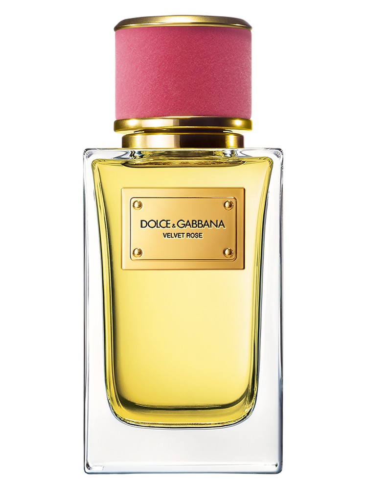Velvet Rose Dolce&Gabbana — аромат