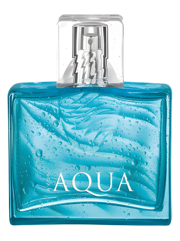 Aqua for Him Avon — аромат