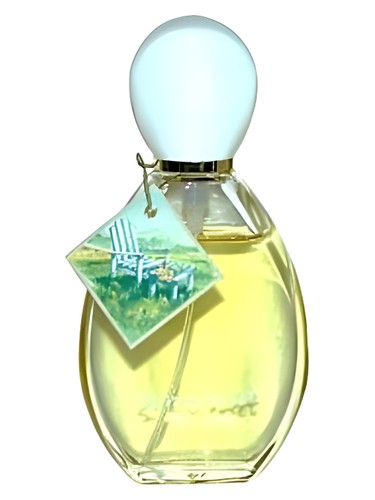 Summerset Avon