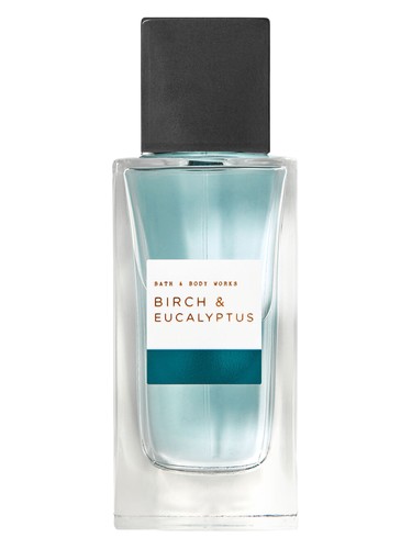 Birch & Eucalyptus Bath & Body Works — аромат