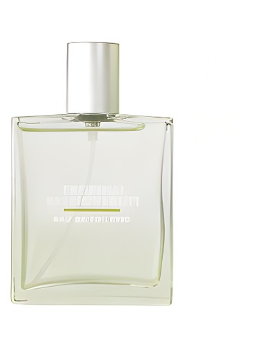 Young Sexy Lovely Collector Intense 2007 Yves Saint Laurent — аромат