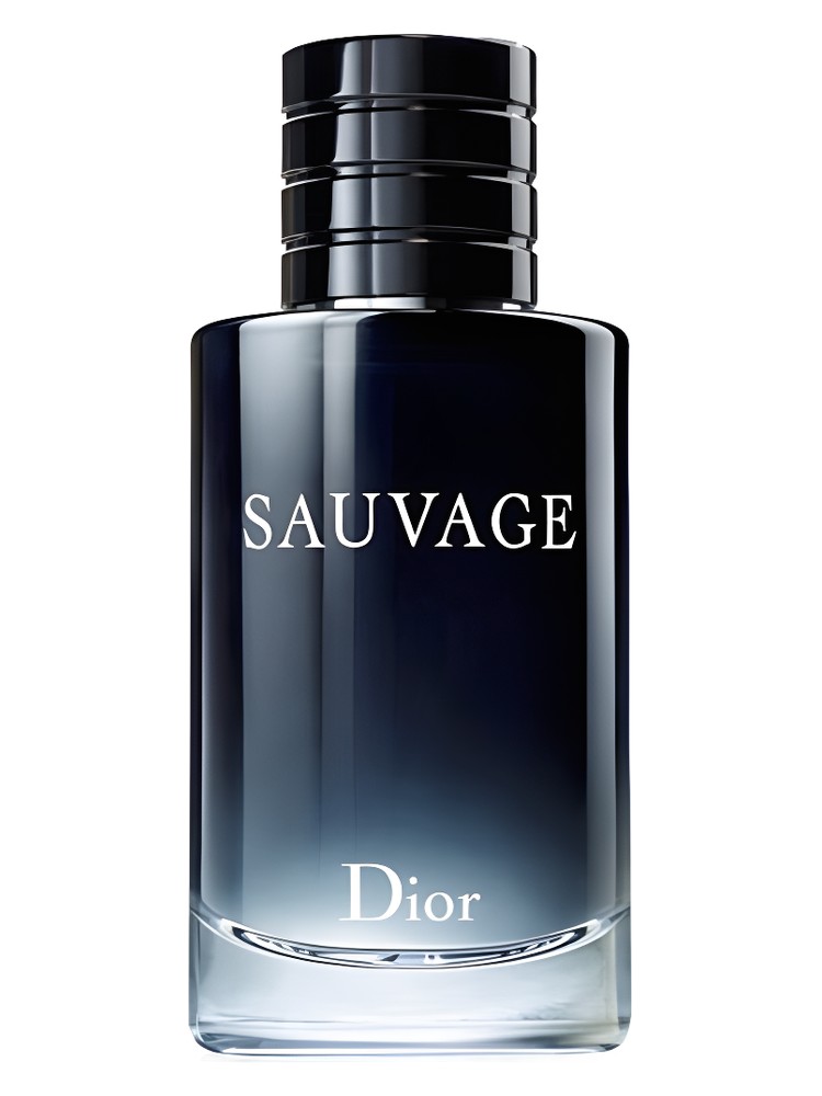 Sauvage Dior — аромат