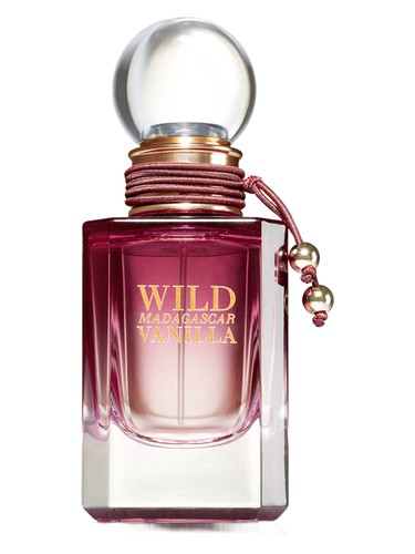 Wild Madagascar Vanilla Bath & Body Works — аромат