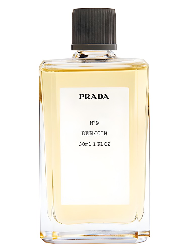 No9 Benjoin Prada — аромат