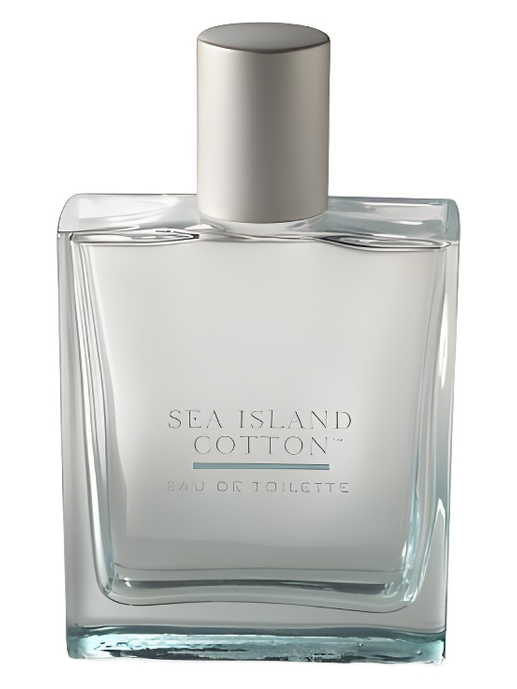 Sea Island Cotton Bath & Body Works — аромат