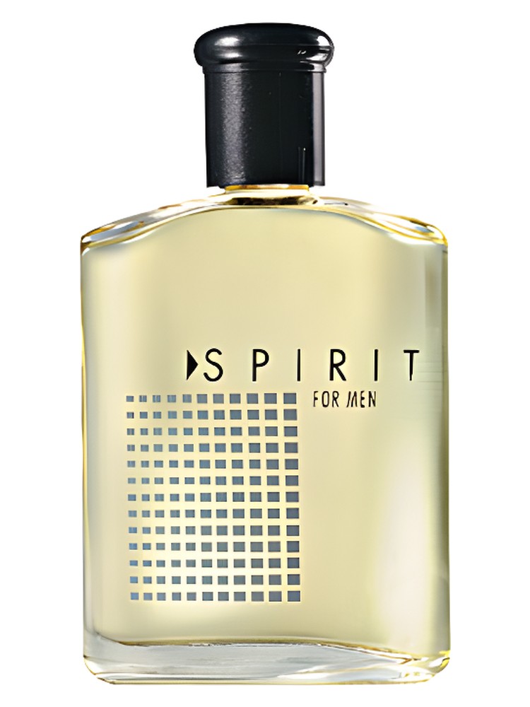 Spirit for Men Avon — аромат