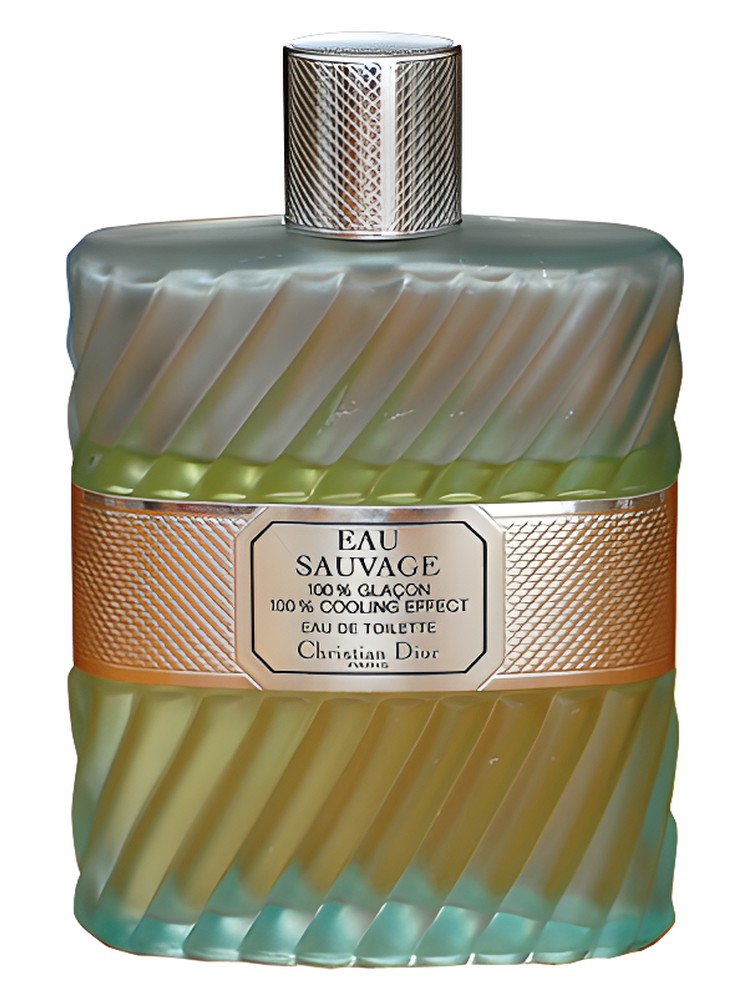 Eau Sauvage 100% Glaçon Dior — аромат