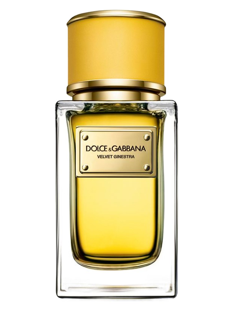 Velvet Ginestra Dolce&Gabbana — аромат