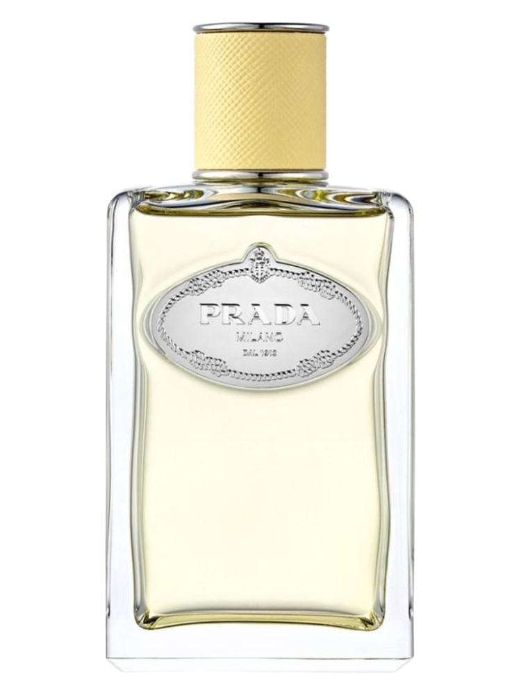 Infusion de Mimosa Prada — аромат