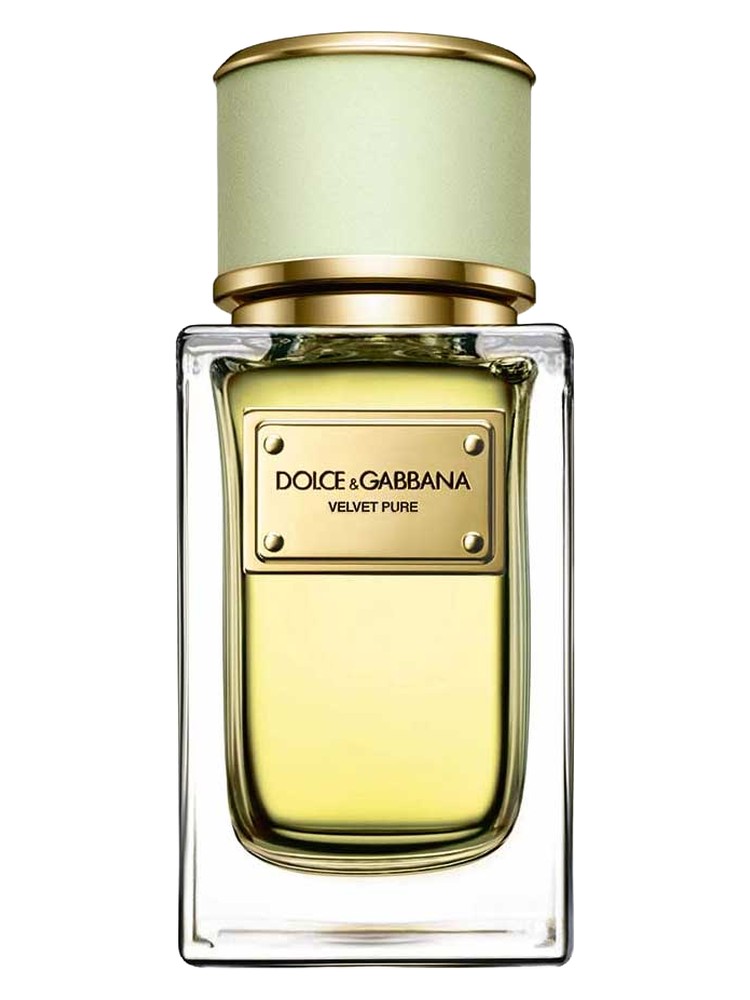 Velvet Pure Dolce&Gabbana — аромат