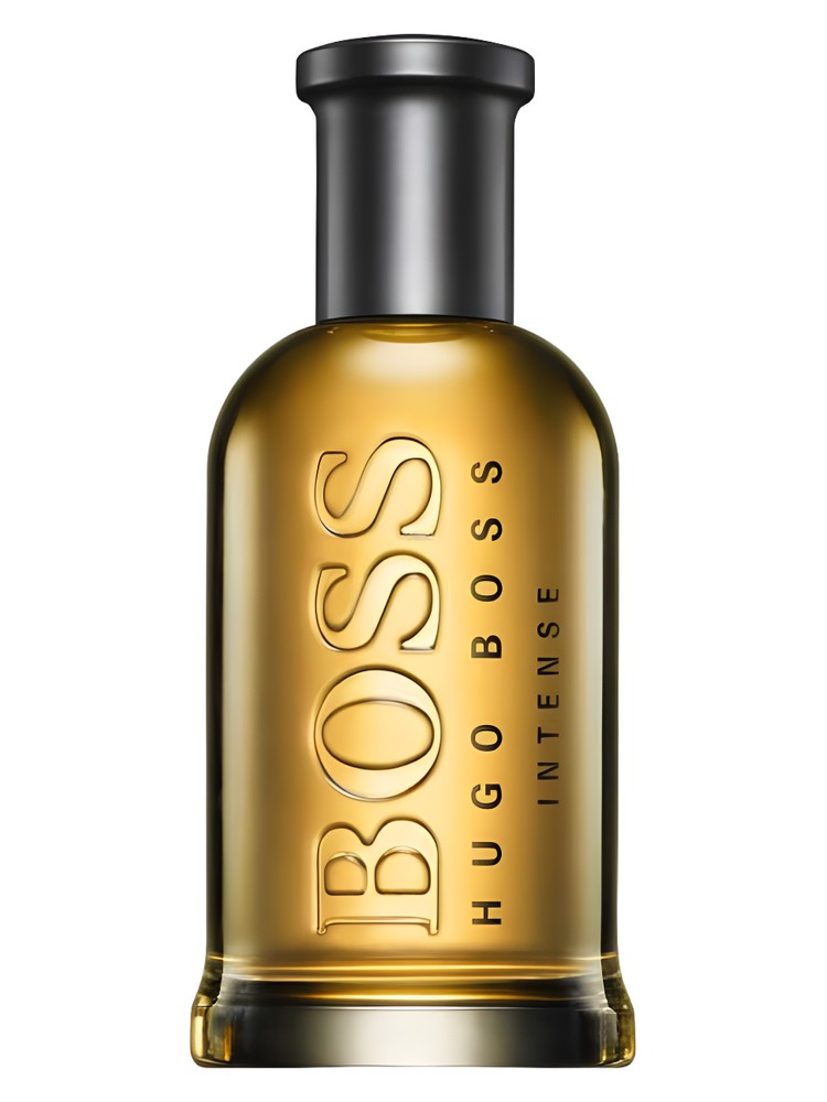 Boss Bottled Intense Eau de Parfum Hugo Boss — аромат