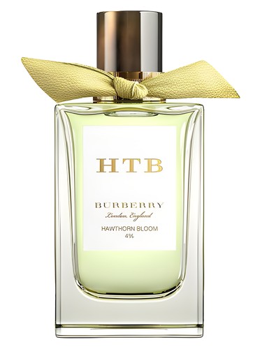 Hawthorn Bloom Burberry — аромат