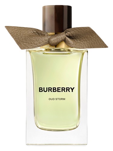 Oud Storm Burberry — аромат