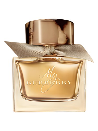 Red Door Shimmer Elizabeth Arden — аромат