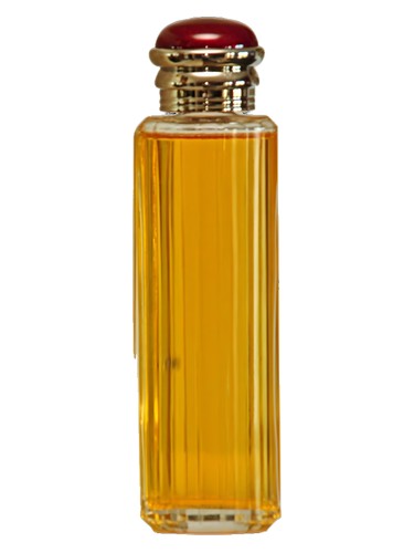 Rive Gauche Intense Yves Saint Laurent