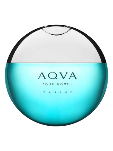 Aqva Pour Homme Marine Bvlgari: разбор бестселлера — что говорят владельцы