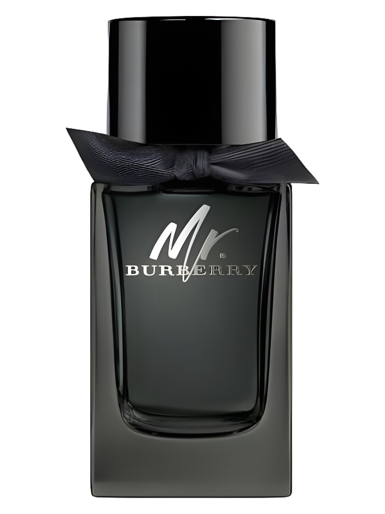 Mr. Burberry Eau de Parfum Burberry