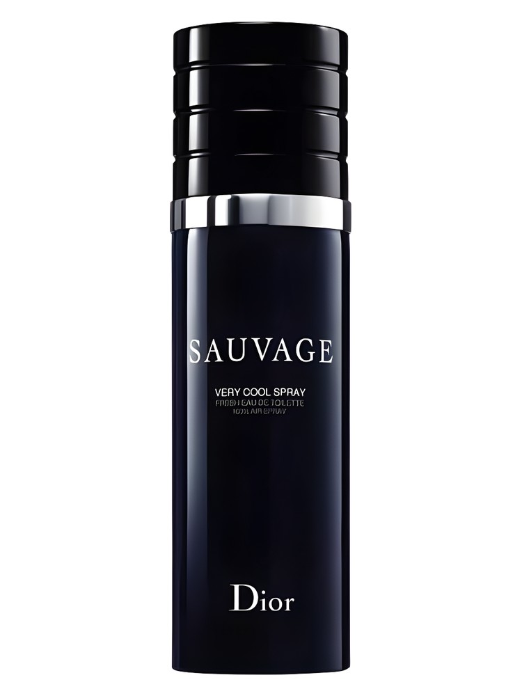 Sauvage Very Cool Spray Dior — аромат