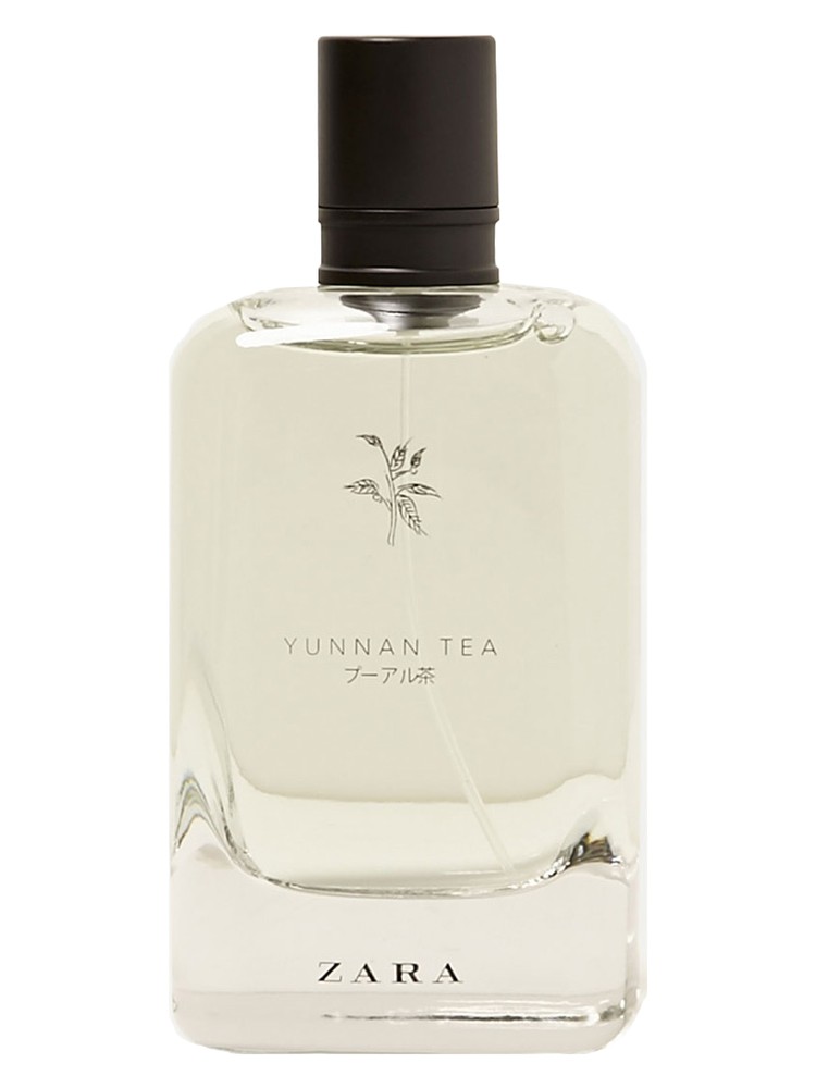 Yunnan Tea Zara — аромат