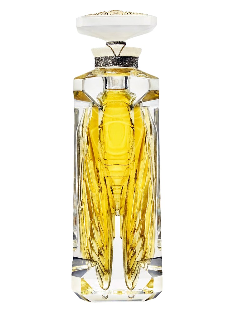 Deux Cigales Lalique — аромат