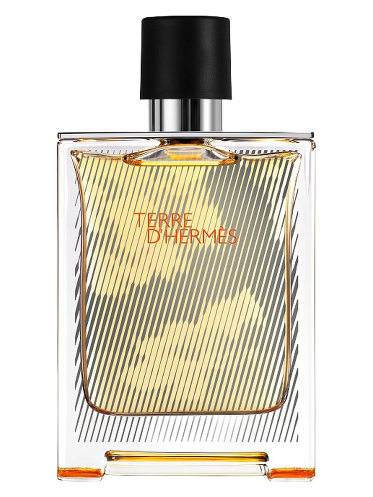 Terre d'Hermes Flacon H 2018 Hermès — аромат