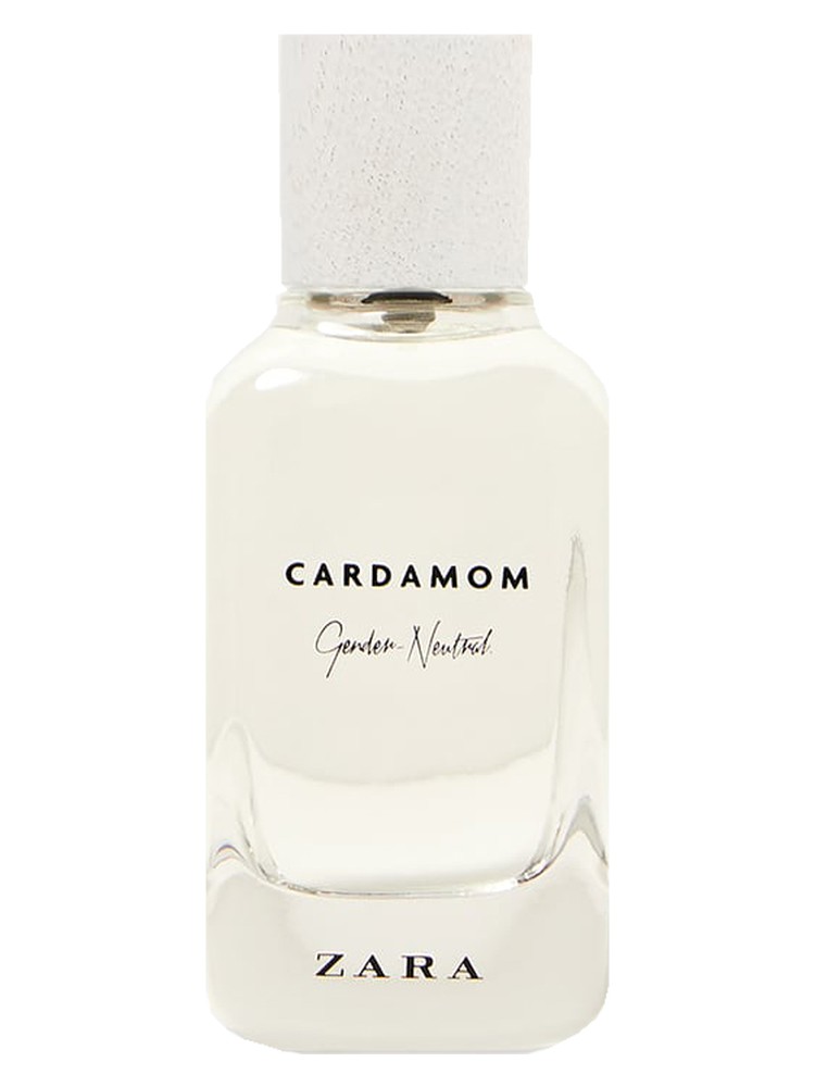 Cardamom - Gender Neutral Zara