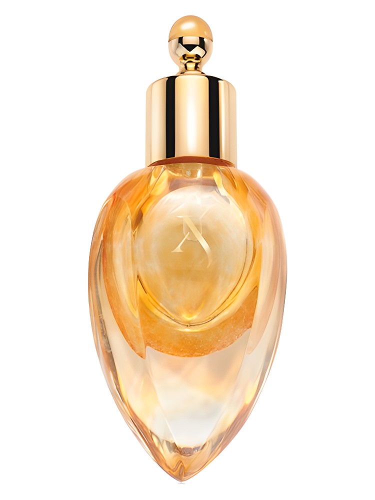 Richwood Perfume Extract Xerjoff — аромат