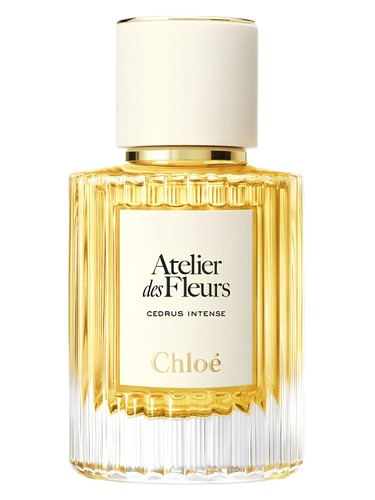 Cedrus Intense Chloé — аромат
