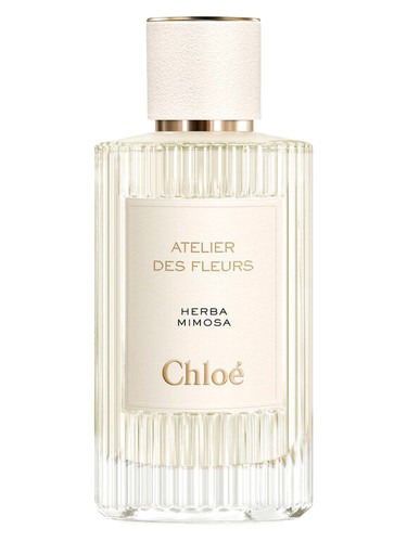 Herba Mimosa Chloé