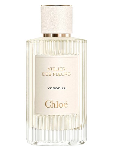 Verbena Chloé