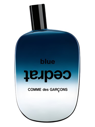 Blue Cedrat Comme des Garcons — аромат