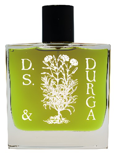 Boston Ivy DS&Durga