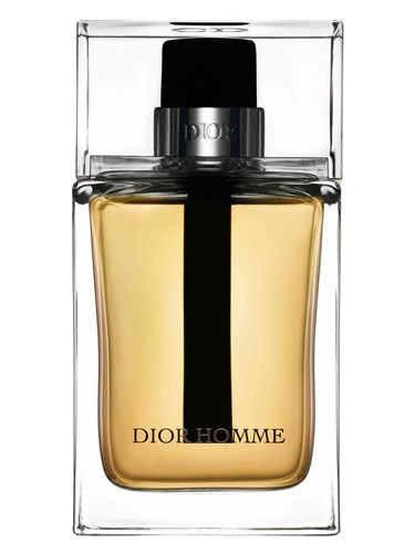 Dior Homme Dior