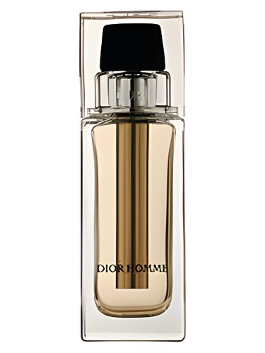 Dior Homme Voyage Dior